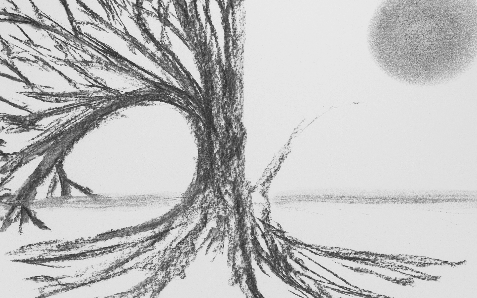 Kohle-Zeichnung "Sowohl als Auch!" von der Künstlerin Marianna Ackermann LadyMARIANN-Arts